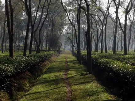Sreemangal, Bangladesh
